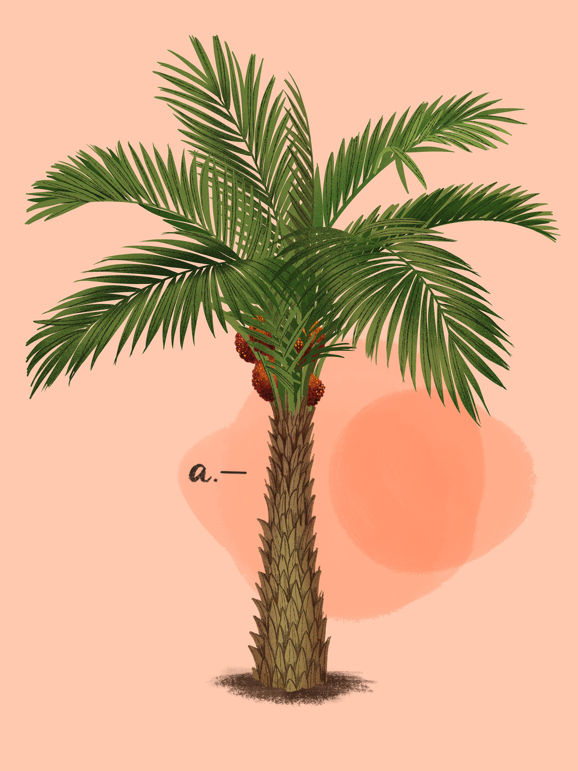 Palms